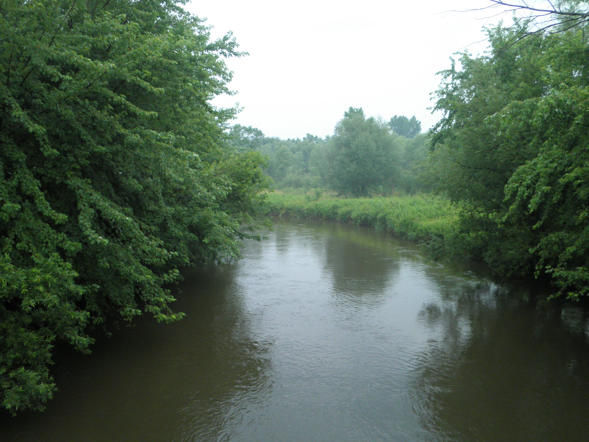 River Mature 61